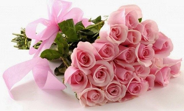 Hoa hồng thể hiện sự tinh khiết và lãng mạn 