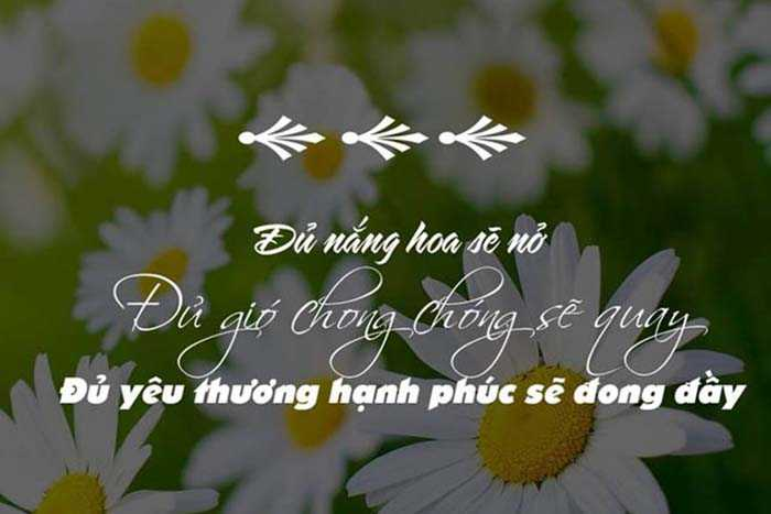 100+ stt hay về tình yêu, tình bạn, cuộc sống … - Tri Thức Việt